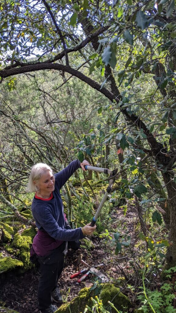 Une personne sur un chemin dans une forêt avec une grande tenaille dans les mains coupe des branches pour libérer le chemin.