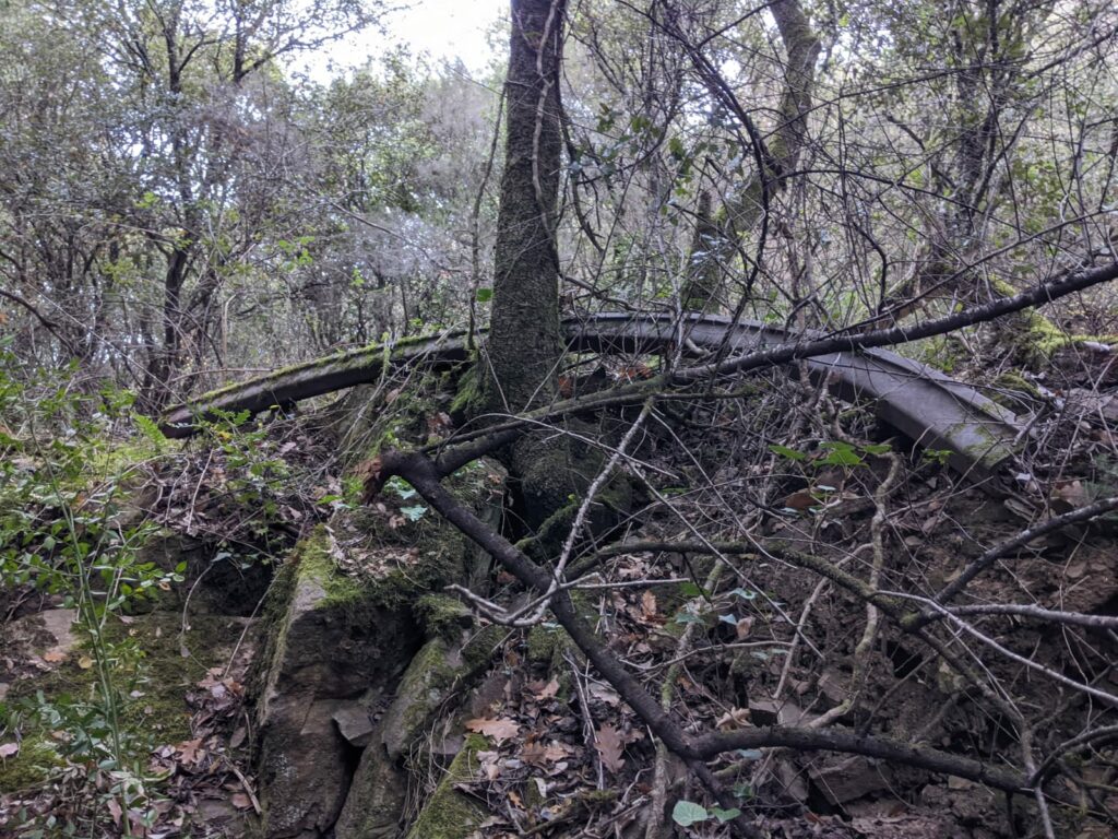 Au bord d'un petit ruisseau une pièce de métal de forme courbée est coincées derrière des branchages et le tronc d'un arbre