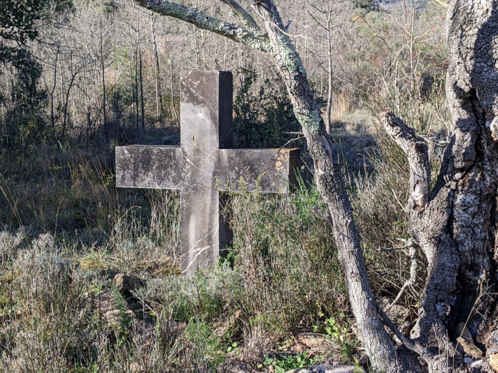 Une croix en pierre planté dans le sol dans une prairie. Sur la droite de la photo le tronc d'un vieil arbre. En arrière plan des jeunes pousses d'arbres