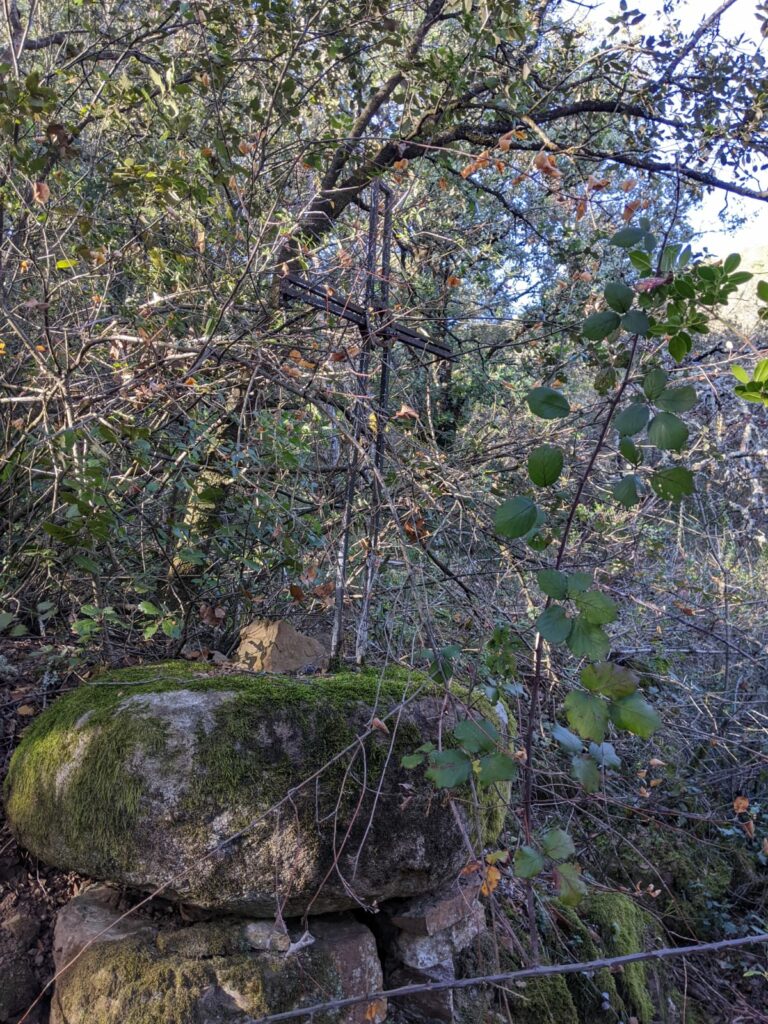 Une croix métallique, peinte en noir, de 50 cm environ, sans décor particulier, planté sur une rocher arrondi recouvert de mousse. autour pas mal de branches et de végétation