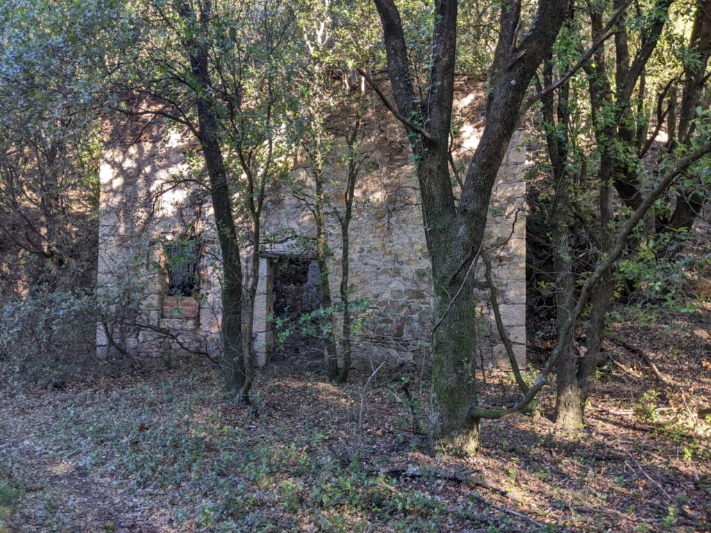 Dans une foret assez dense, le côté d'un bâtiment en pierre (l'ancienne écurie). On voit l'ouverture d'une ancienne porte et d'une petite fenêtre sur la gauche. Des arbres ont poussé tout proche des murs du bâtiment