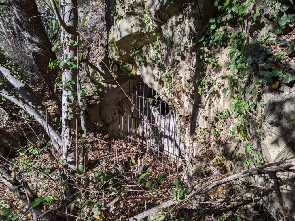 Une ancienne entrée de galerie de mine au pied d'une falaise. L'entrée à été murée (il y a un trou dans la partie supérieur du mur); Devant le mur à été installée une grille scellé dans la roche. Devant des feuilles et autour des branches d'arbres