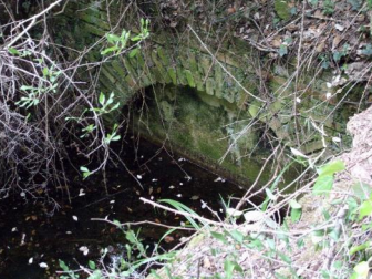 Vue sur le sommet de l'arche en briques de l'ouverture de la galerie de coustière. L'entrée de la galerie est murée. Devant l'entrée, l'eau recouverte de quelques feuilles arrive à mis hauteur de l'entrée.