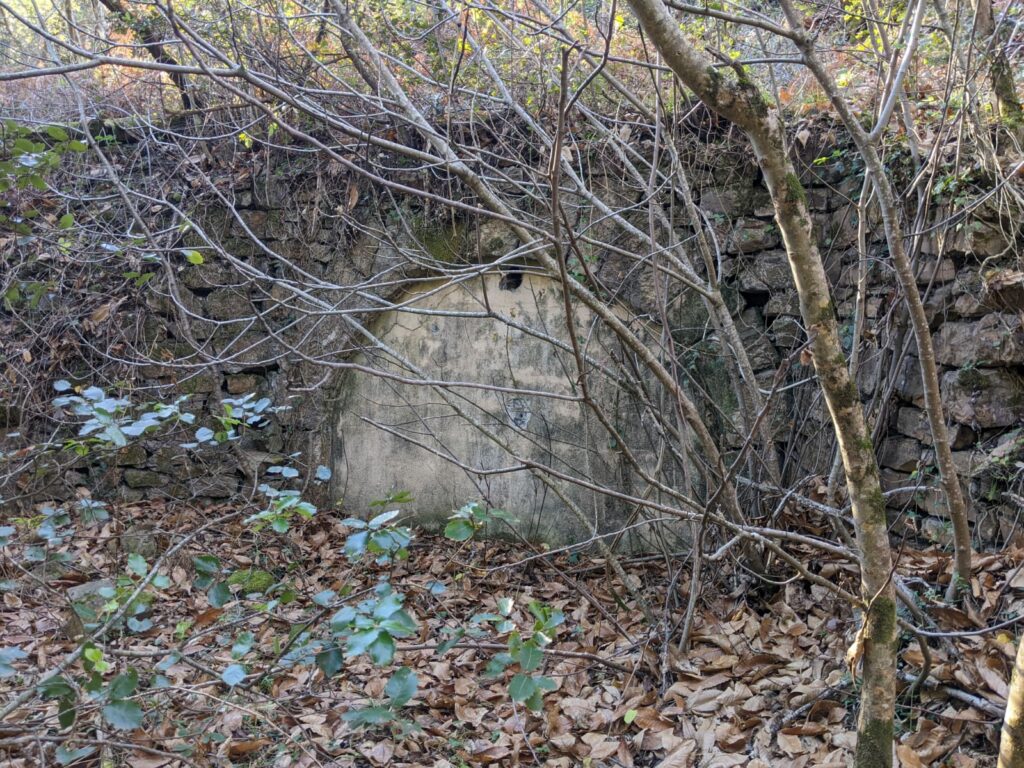 Derrière des branchages et des jeunes pousses d'arbres on devine l'entrée d'une galerie de mine dont l'accès à été muré. Autour de l'entrée murée des mur en pierre sèche. Feuille morte au sol