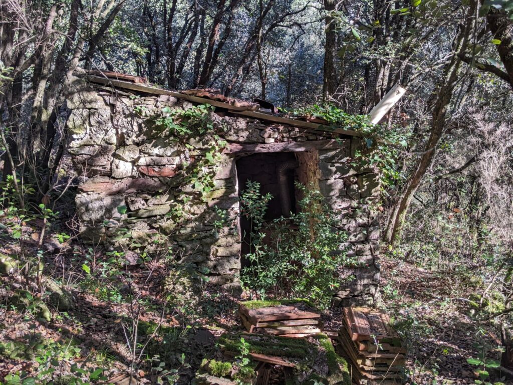 Au milieur d'une forêt bien dense, vue sur le côté d'une petit construction de pierre (4 m²) avec l'ouverture d'une porte. On devine le toit partiellement recouvert de tuiles. Au travers de l'ouverture de la porte on devine le tuyau d'un poêle à bois. Devant le bâtiment à 2 mètres (en bas de la photo) 3 empilements de tuiles plates