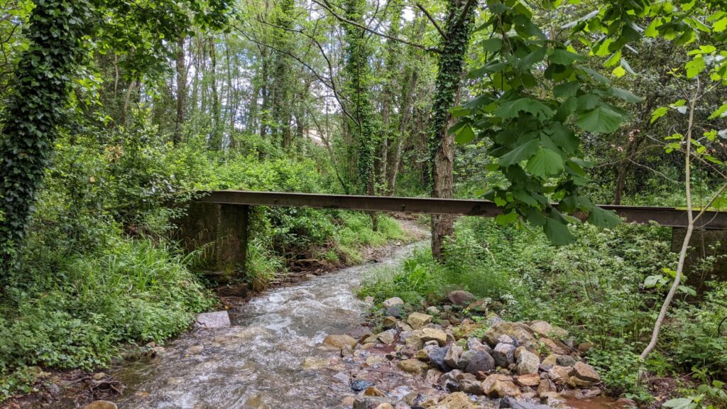 Vue sur un ruisseau avec de l'eau. Sur chaque côtés du ruisseau, 2 piliers en pierre ou béton qui soutien une passerelle métallique. Sur les côtés du ruisseau une importante végétation et des arbres couvert de lierres