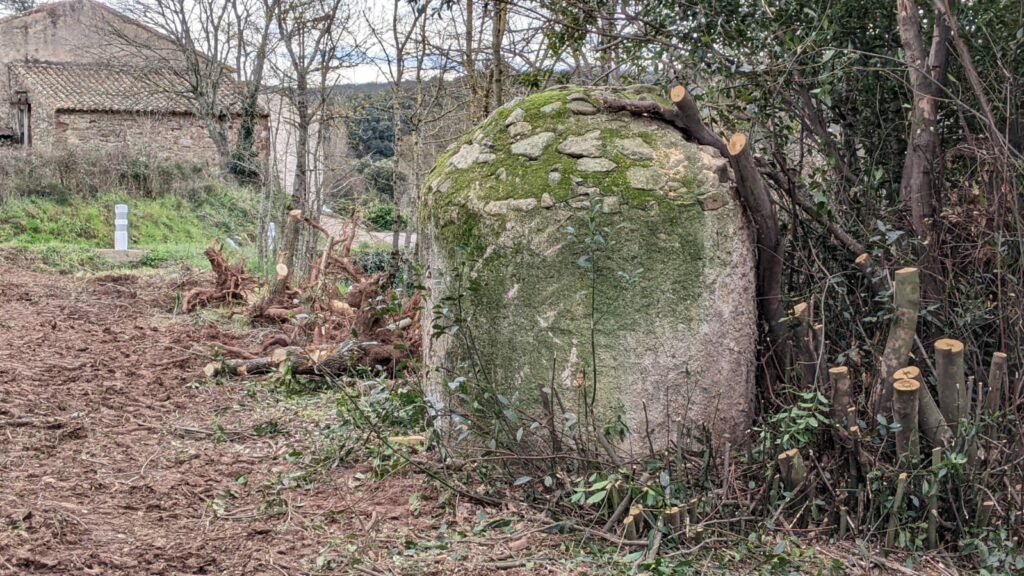 Vue sur l'arrière d'une construction en pierre (somme en forme de dôme) qui protège un puits. Sur la droite de la photo des souches d'arbres récemment coupées. Devant la construction en pierre, des souches d'arbres arrachées. En arrière plan de la photo on devine une route et au fond une bâtisse en pierre.