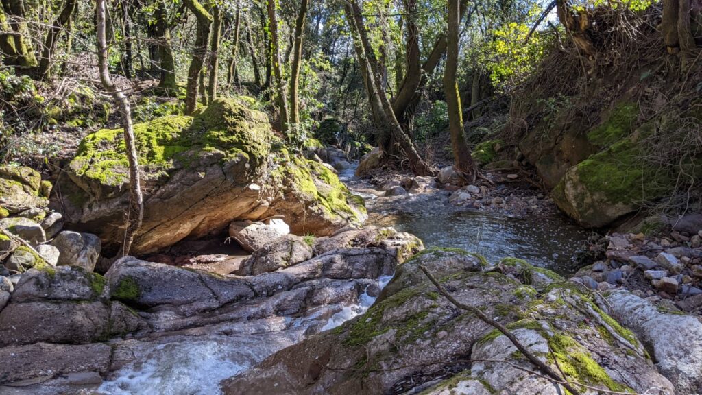 Vue sur le ruisseau qui s'écoule entre des blocs de rochers. Les rochers sont partiellement recouvert de mousse. Sur les côté du ruisseau de nombreux arbres