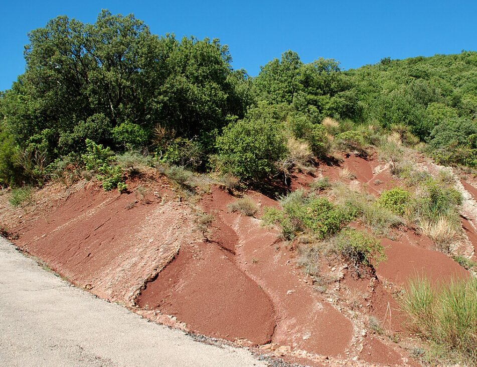 Vue sur un pan d'une colline montrant la végétation et surtout la ruffe (terre rouge)