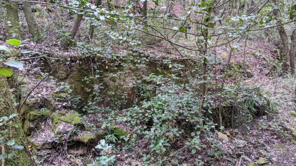 Vue sur les ruines d'un lavoir à plusieurs bacs. On devine entre les branchages des arbres voisins les murs en pierres (hauteurs environ 60 cm) de la construction. Des pierres gisent sur le sol autour de l'ancien lavoir