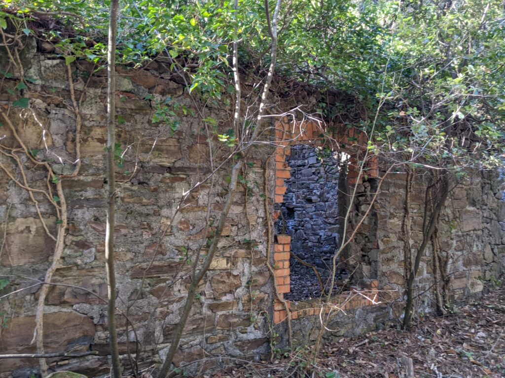 Vue de la ruine d'un bâtiment se trouvant à proximité de l'entrée de la galerie de la mine Verrière. Il n'y a plus de toit, sont visible, les murs, l'ouverture d'une porte. Sur l'entourage de la porte il reste quelques briques de terre cuites. Des arbres ont poussé à l'extérieur et à l'intérieur du bâtiment.