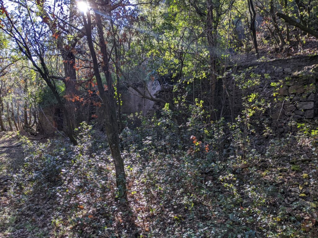 Vue éloignée des ruines des bâtiments se trouvant à proximité de l'entrée de la galerie de la mine Verrière. Il n'y a plus de toit, certains mur de façade sont ecroulé, un autre persiste. D'ou est prise la photo on voit très mal l'intérieur des bâtiment. Autour des broussailles, de jeunes arbres ont poussé. En haut de la photo on devine le soleil entre les branche des arbre avec un rayon qui filtre entre les branches des arbres.