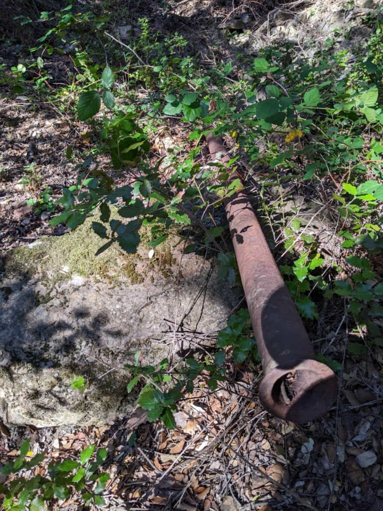 Un vieux tuyau rouillé d'environ 3 mètre posé sur le sol d'une foret au milieu de branche d'arbre au feuilles vertes