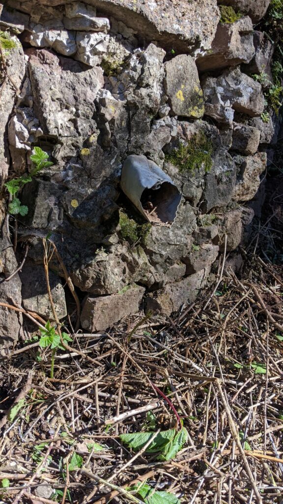 Détail de l'évacuation de l'eau du puits. Dans le bas du mur en pierre, sort une tuyau en zinc un peu cabossé. Au sol des débris de broussailles