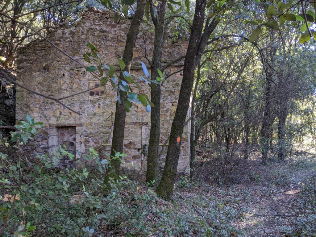 Dans une foret assez dense, le côté d'un bâtiment en pierre (l'ancienne écurie). Sur la droite une ancienne porte à été murée. On devine qu'il n'y a plus de toit.