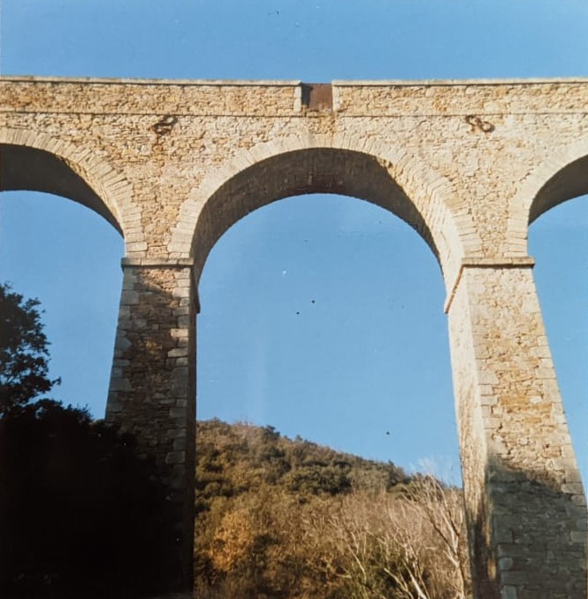 alzou 8fev89