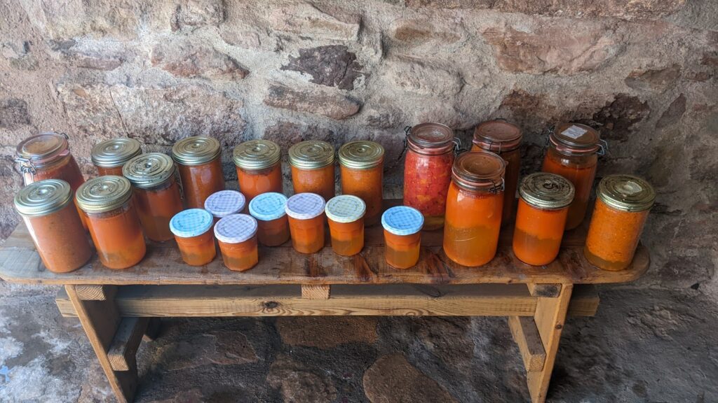 pxl 20250831 081821794