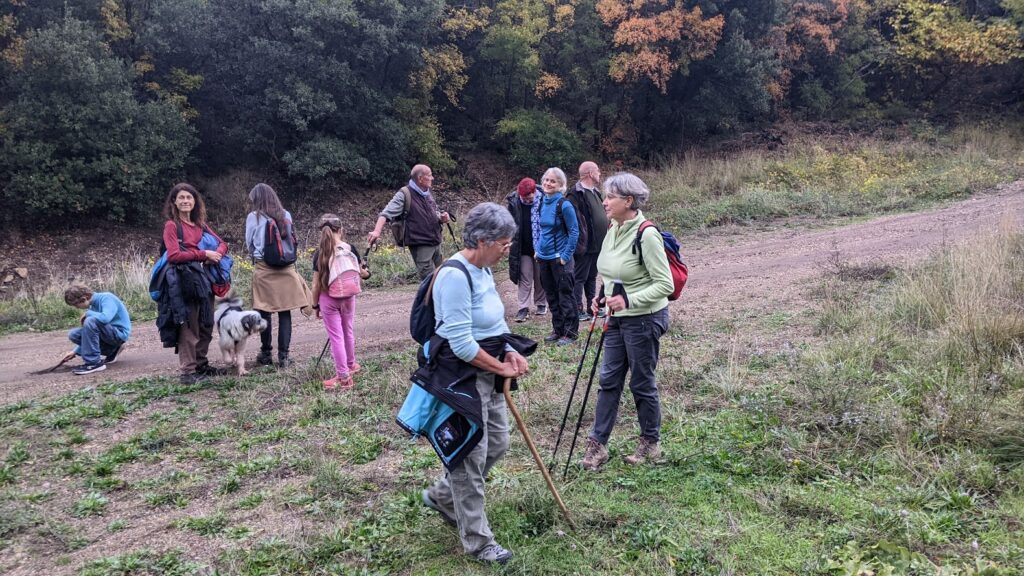 pxl 20251101 154429774