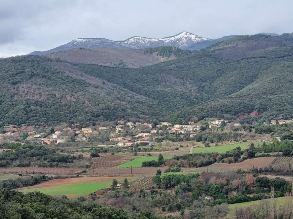 1f0df1b2 1bc6 42cc 829c 298b9aad274c